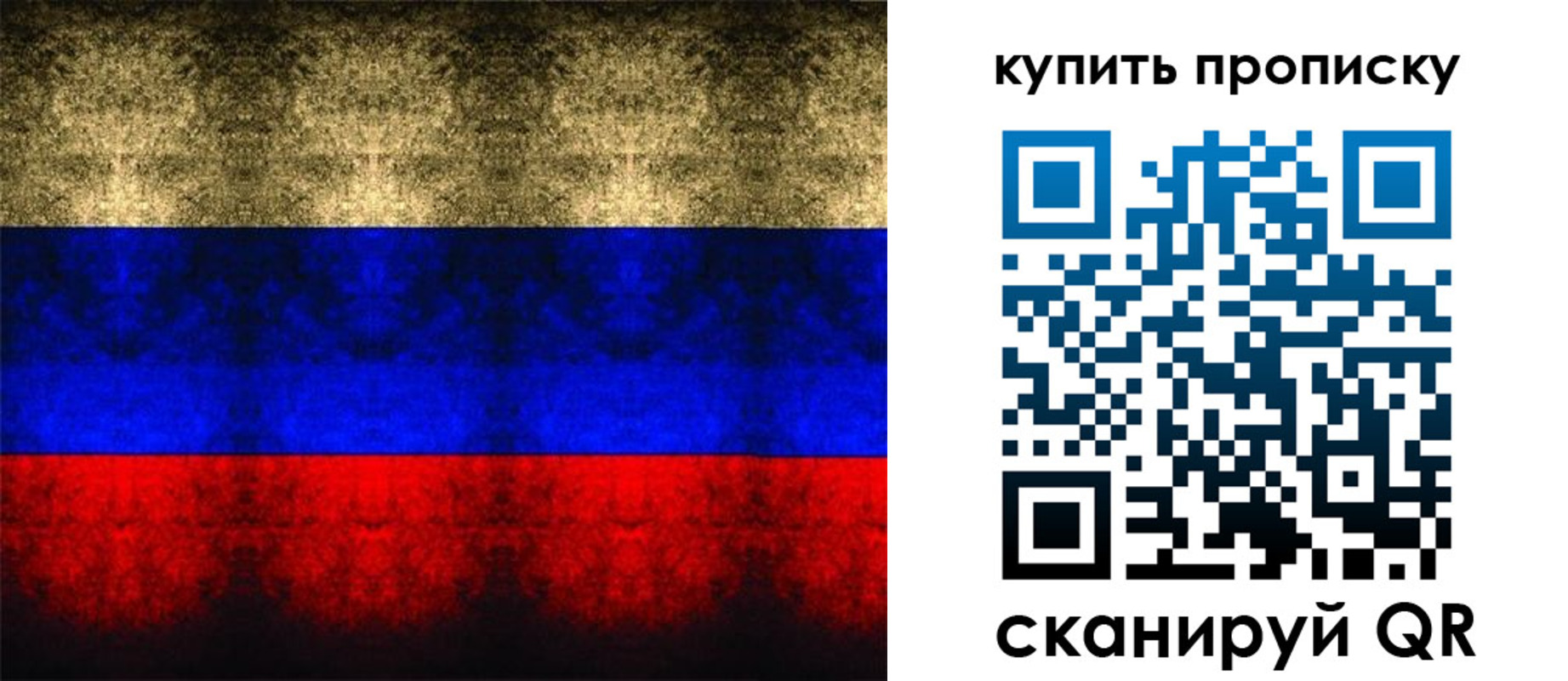 прописка в Кузнецке